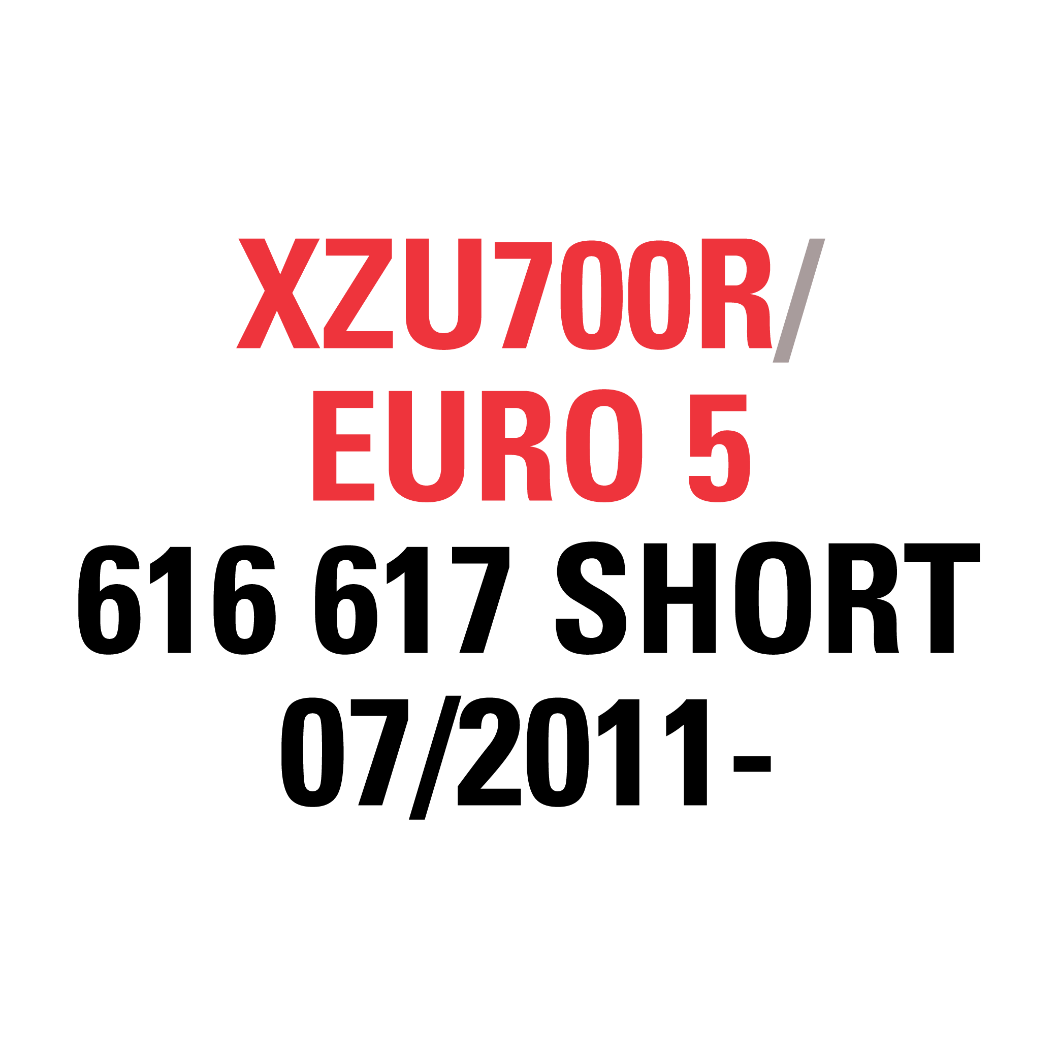 XZU700R EURO 5 "616 617 SHORT"  07/2011-
